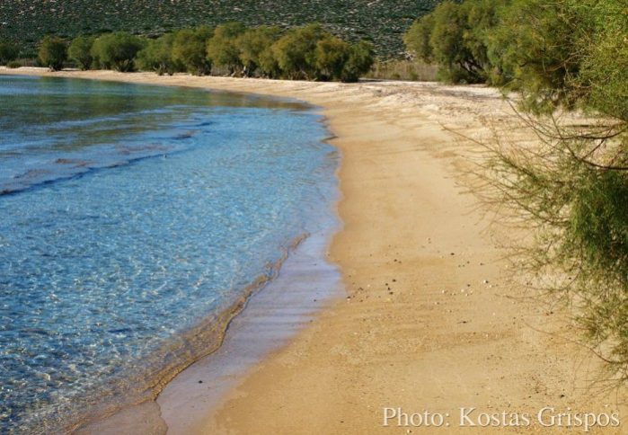 psaralyji praia