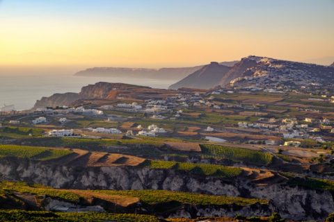 santorini arte fazer vinho