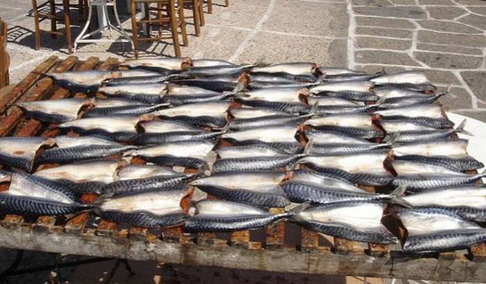 paros peixa