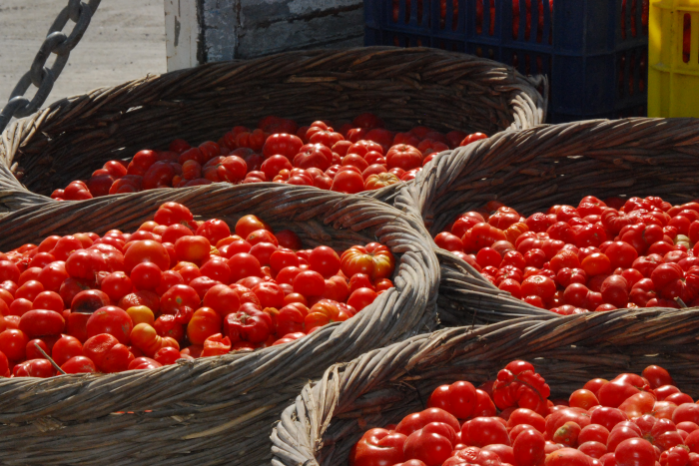 tomate cereja