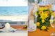 festa de casamento vassilikos