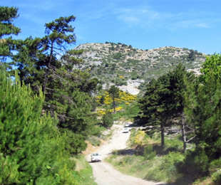 excursões
