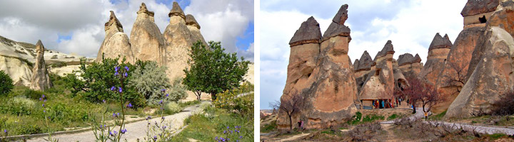 avanos capadocia pasabaglari